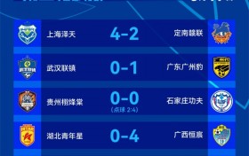 足协杯第三轮第3比赛日赛果：广东广州豹、石家庄功夫等队晋级
