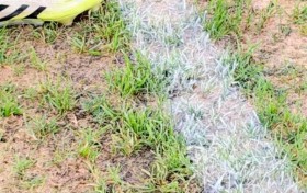 泰山跟队记者：浙江队主场黄龙体育中心场地情况很糟糕