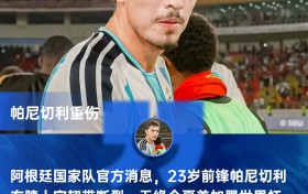 可惜！23岁帕尼切利3月训练重伤无缘世界杯 1米9大中锋本赛季20球