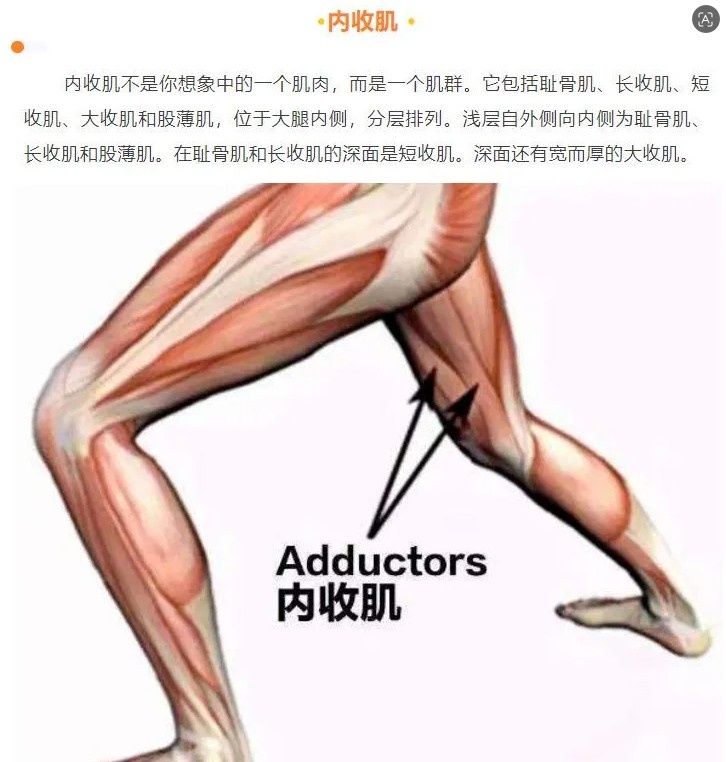 马刺榜眼哈珀内收肌酸痛G3出战成疑 可能不是腿筋伤势插图2 马刺榜眼哈珀内收肌酸痛G3出战成疑 可能不是腿筋伤势插图2