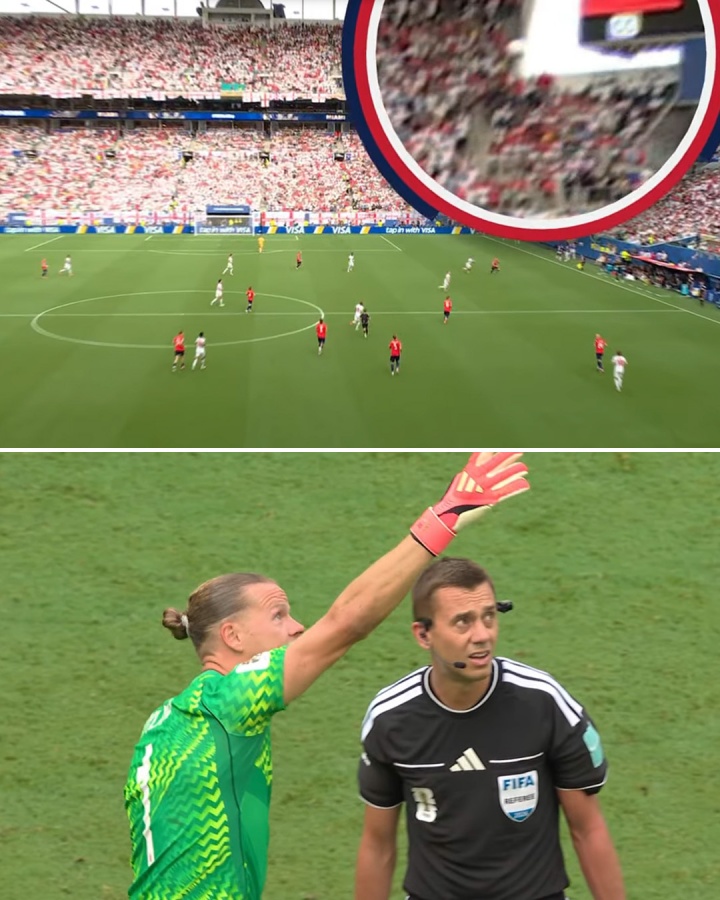FIFA称无证据显示接触!球迷热议飞猫悬案:所以是观众都瞎了?插图 FIFA称无证据显示接触!球迷热议飞猫悬案:所以是观众都瞎了?插图